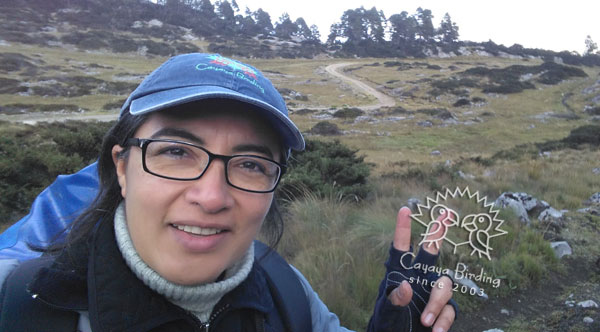 Claudia Avenda&ntilde;o, Guide f&uuml;r Vogelbeobachtungsreisen in Guatemala