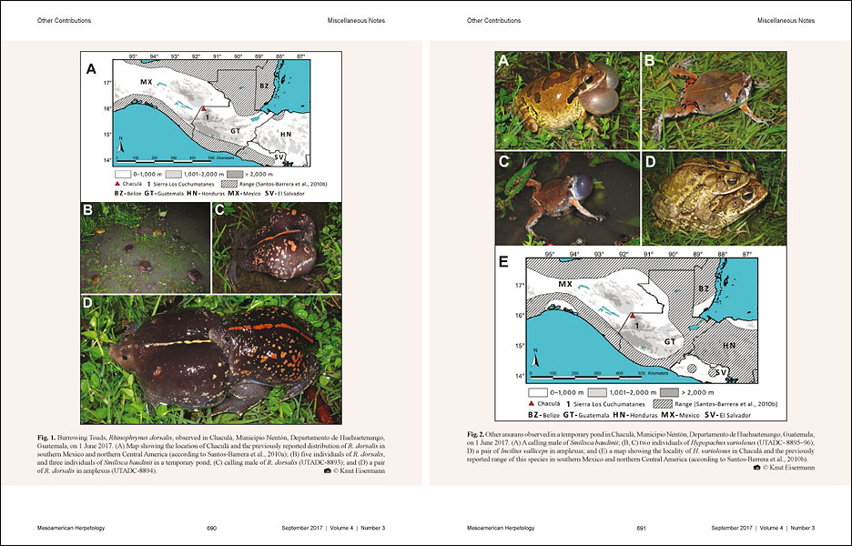 Mesoamerican Herpetology 4: 688-692.