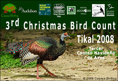 CBC Tikal 2008.