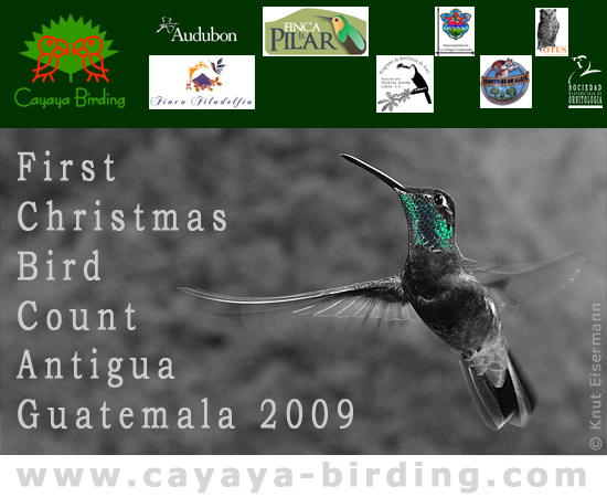 CBC Antigua 2009.