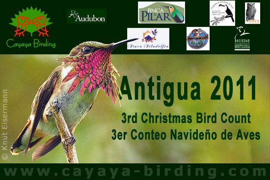 CBC Antigua 2011.
