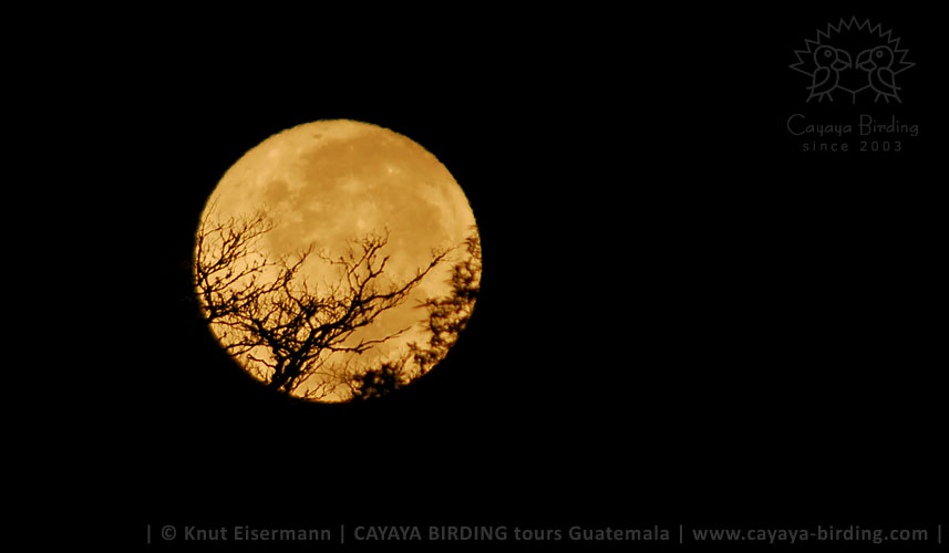 Vollmond im Hochland von Guatemala.