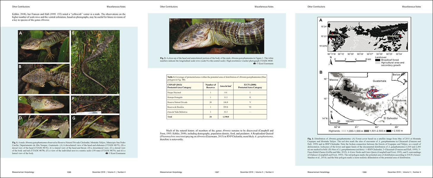 Mesoamerican Herpetology 3: 1085-1089.