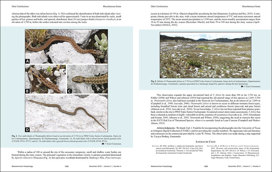 Mesoamerican Herpetology 3: 1094-1097.
