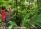 Vogelbeobachtung im Nebelwald von Sanimtac&aacute;