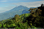 Aussicht vom Refugio del Quetzal zum Vulkan Tacan&aacute;.