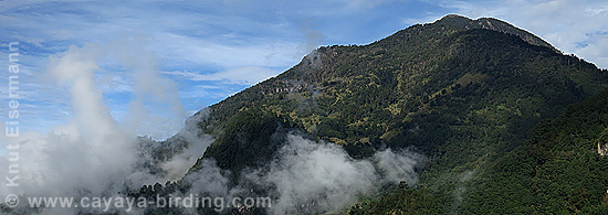 Vulkan Tacan&aacute;