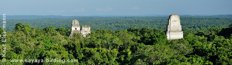 Tikal