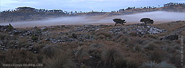 Parque Regional Municipal Todos Santos Cuchumat&aacute;n