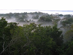 Dawn over the canopy in Yaxh&aacute;.